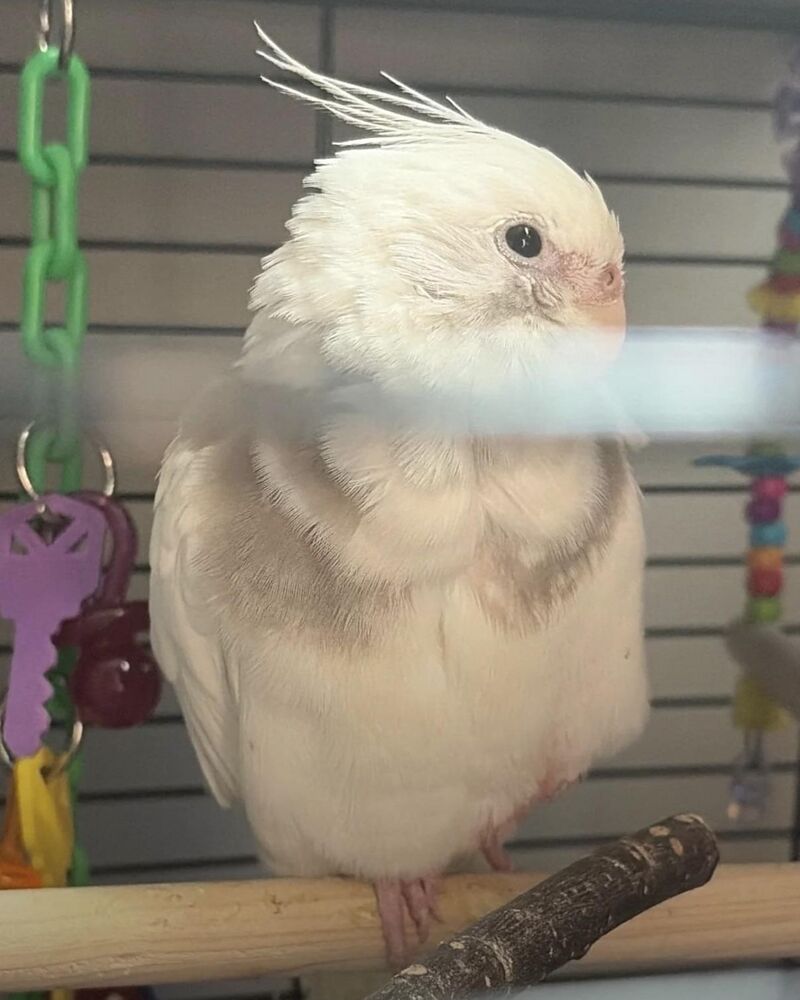 Cut on foot need advice asap.