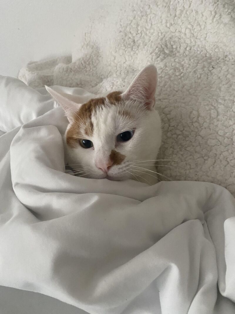 My cutie ready for nap time