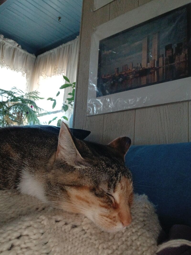 When you've been sedated for a medical procedure and your baby comes to comfort you 💜🥰