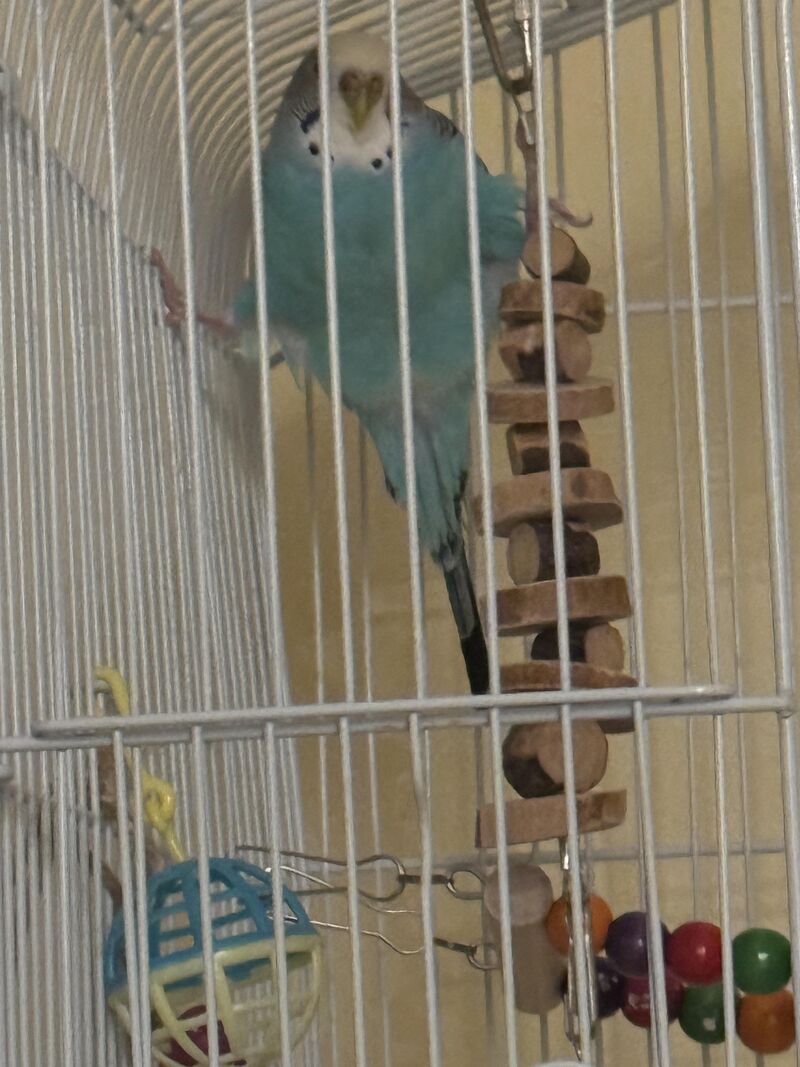 Is this posture abnormal?