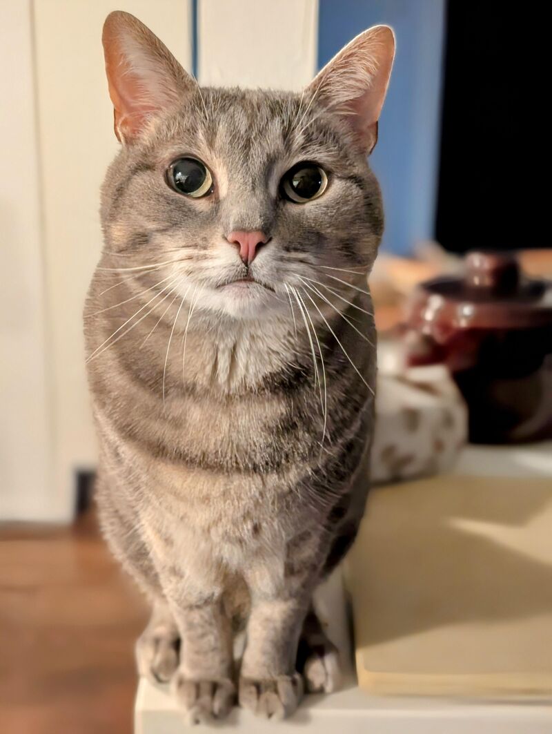 She needs to wait 2 more min for breakfast and is disappointed