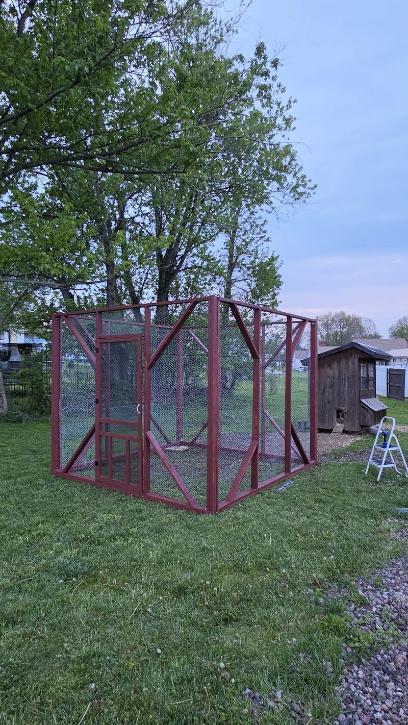 New run for the birds, roof coming soon!