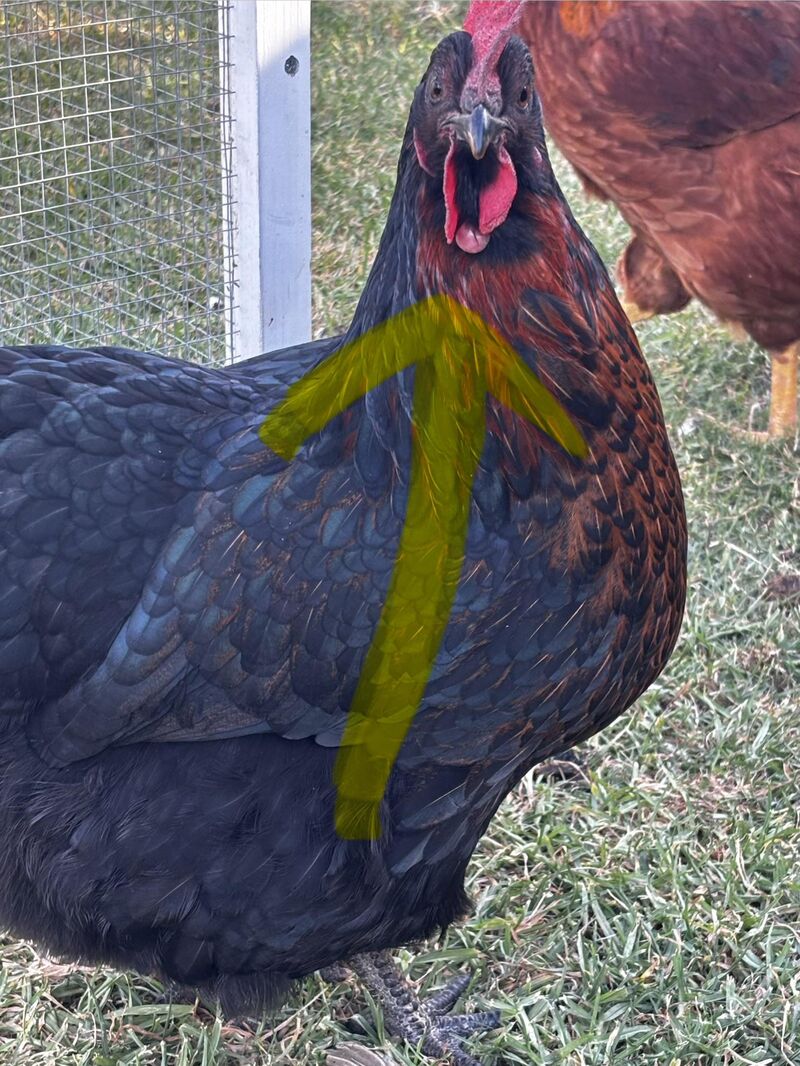 Any seen this before?