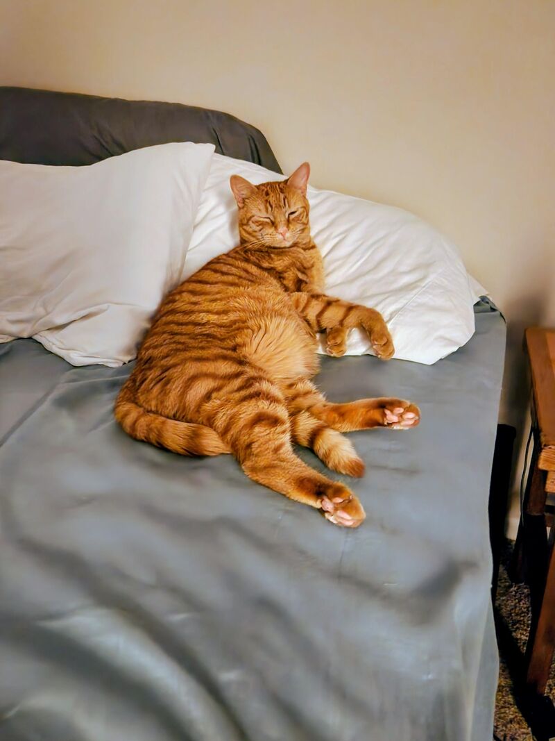 5 more minutes, please