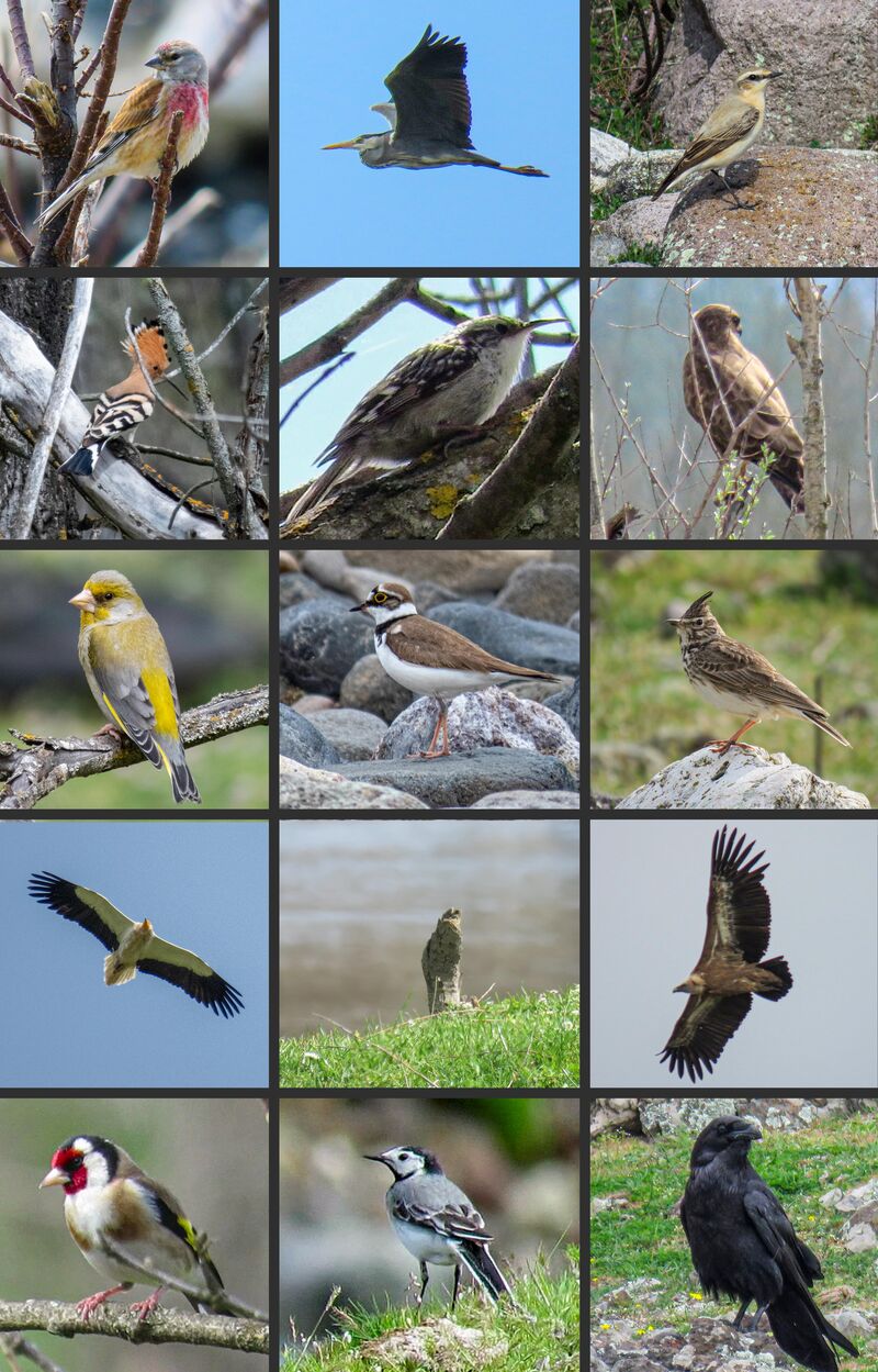 Decided to stop by a random river and saw all of these