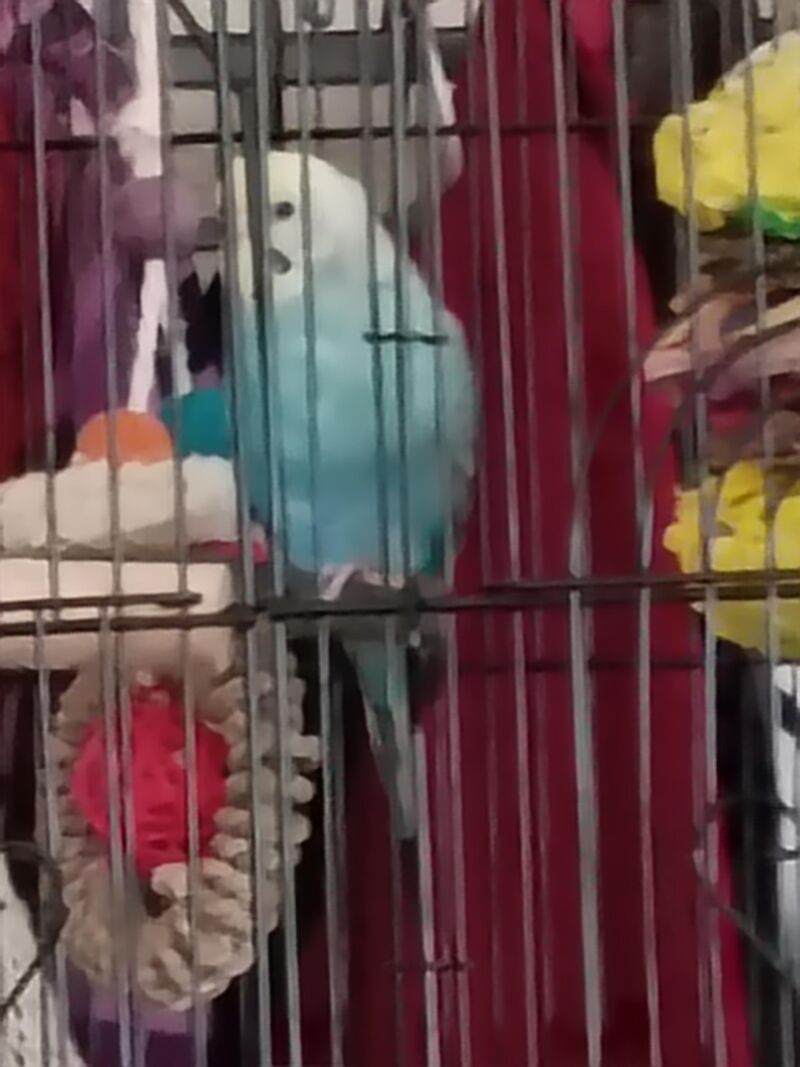 Quarantining in same room