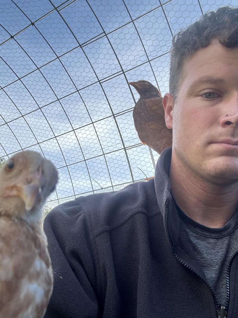 This is how I pay my taxes