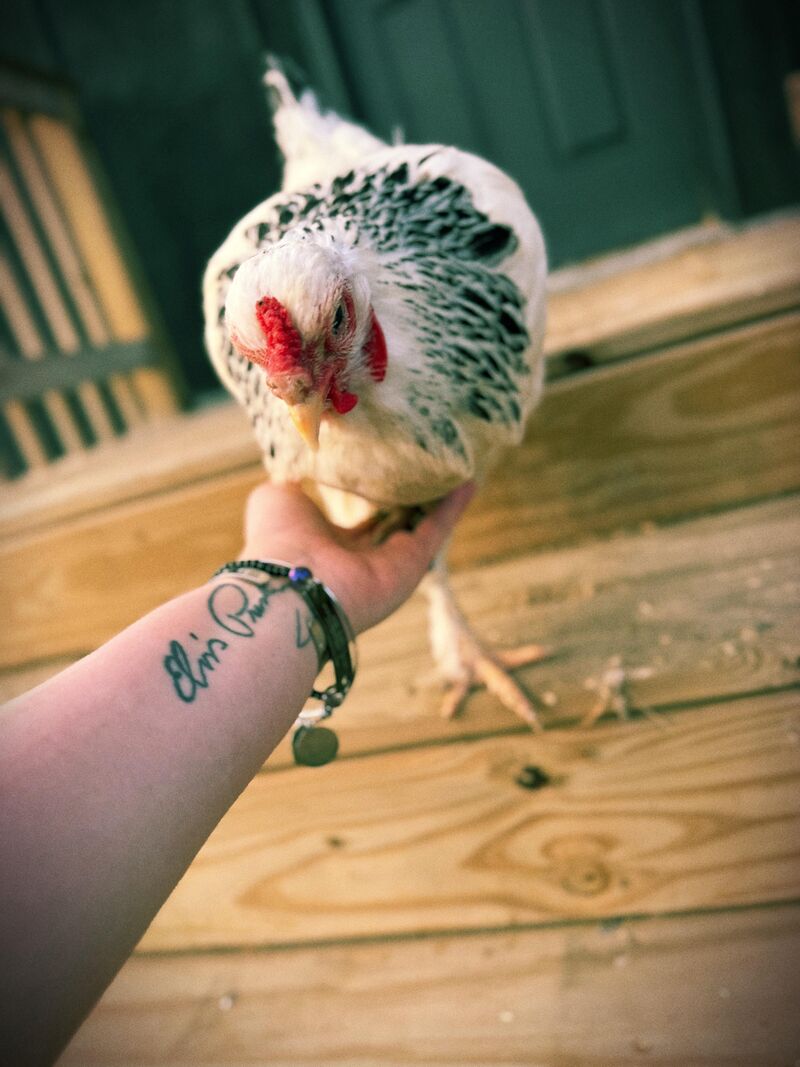 TJ got to meet a fan the other day and now she feels like a real celebrity (and acts like one too)