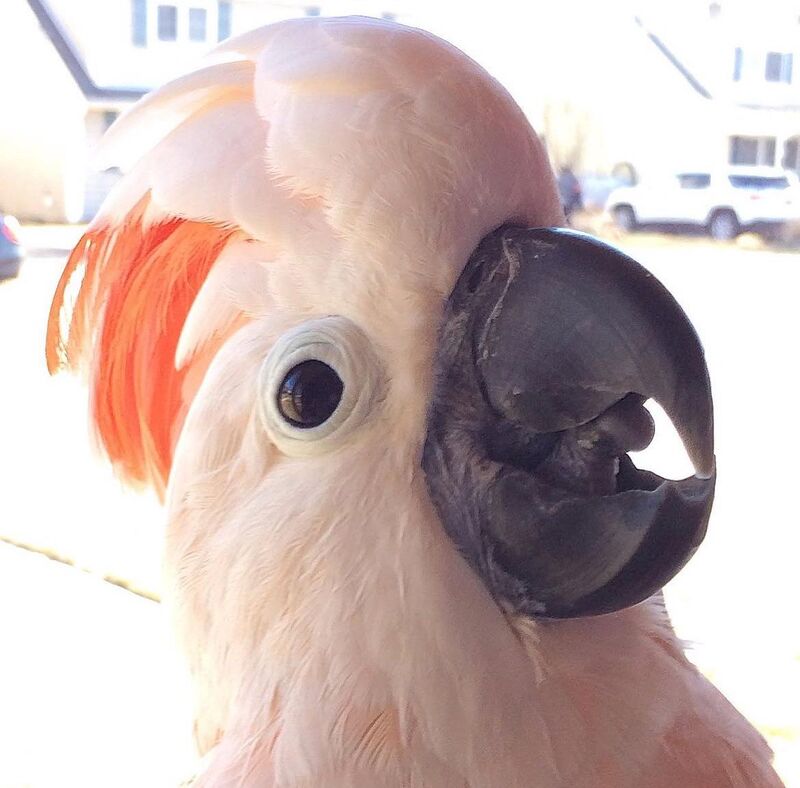 Poppin’ in to say Hi!