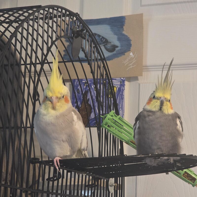 Awwwwww soooo cuttttee