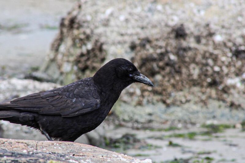 First pic with my new camera!