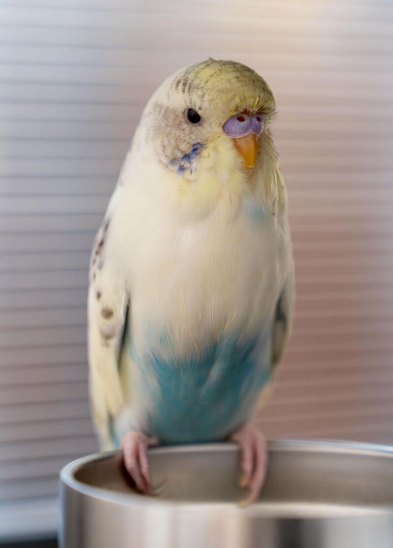 my baby is so cute！！！