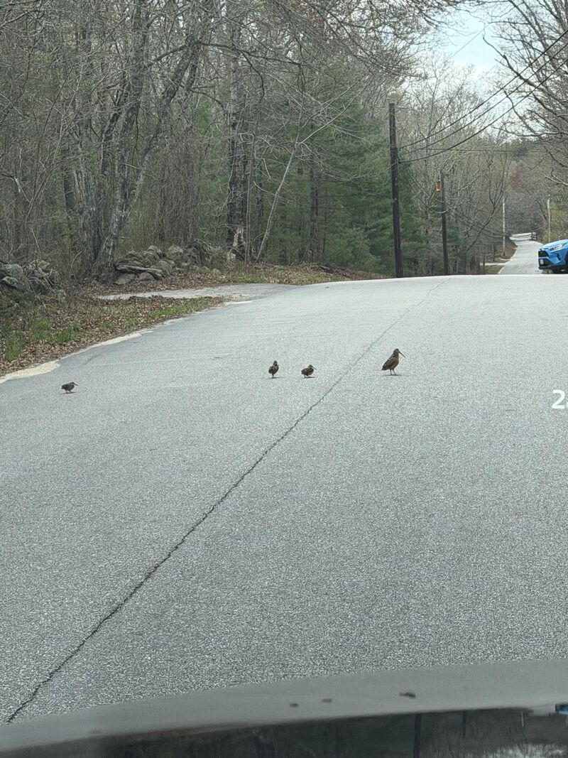 I’ve used up all my luck!