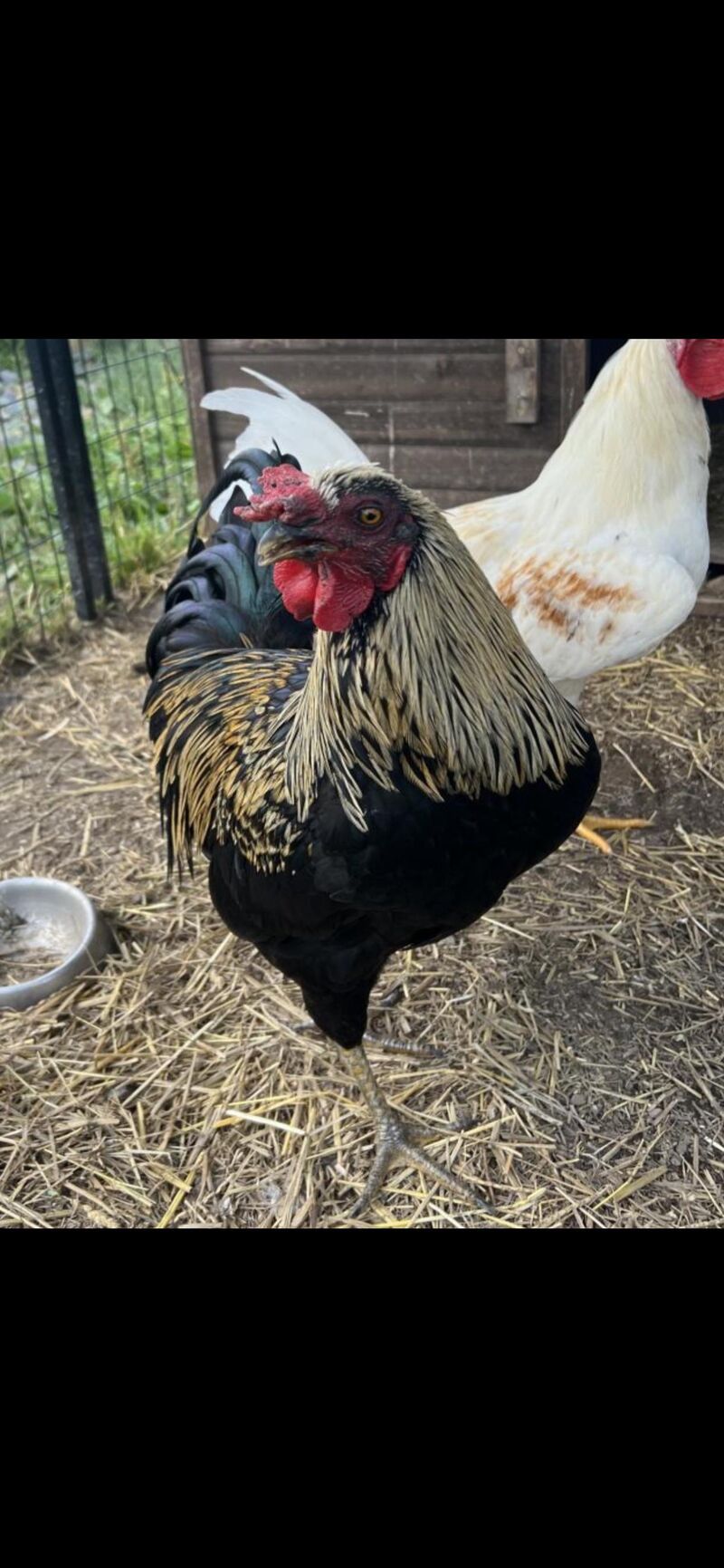 Best 5 bucks I’ve ever spent