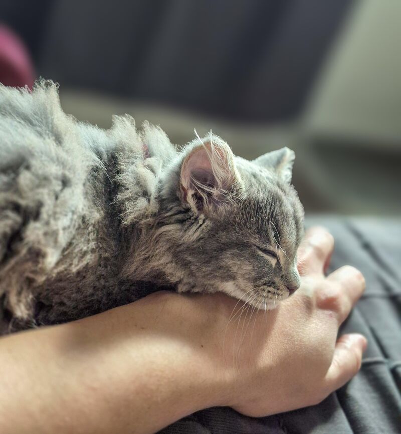 I guess I'm stuck now