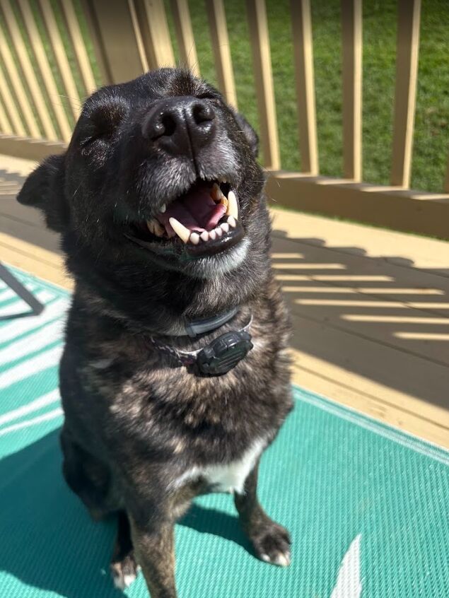 Love my handsome man