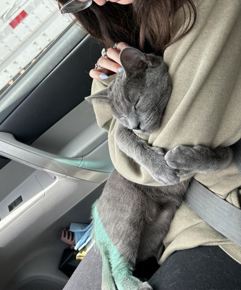 Stoppp she’s toooo cute 😭