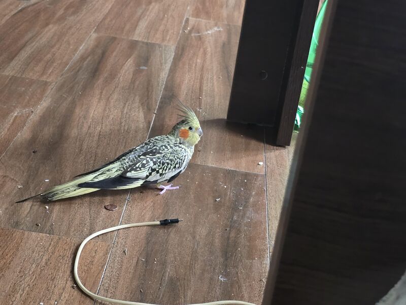 Motivational speaker? No - walker!