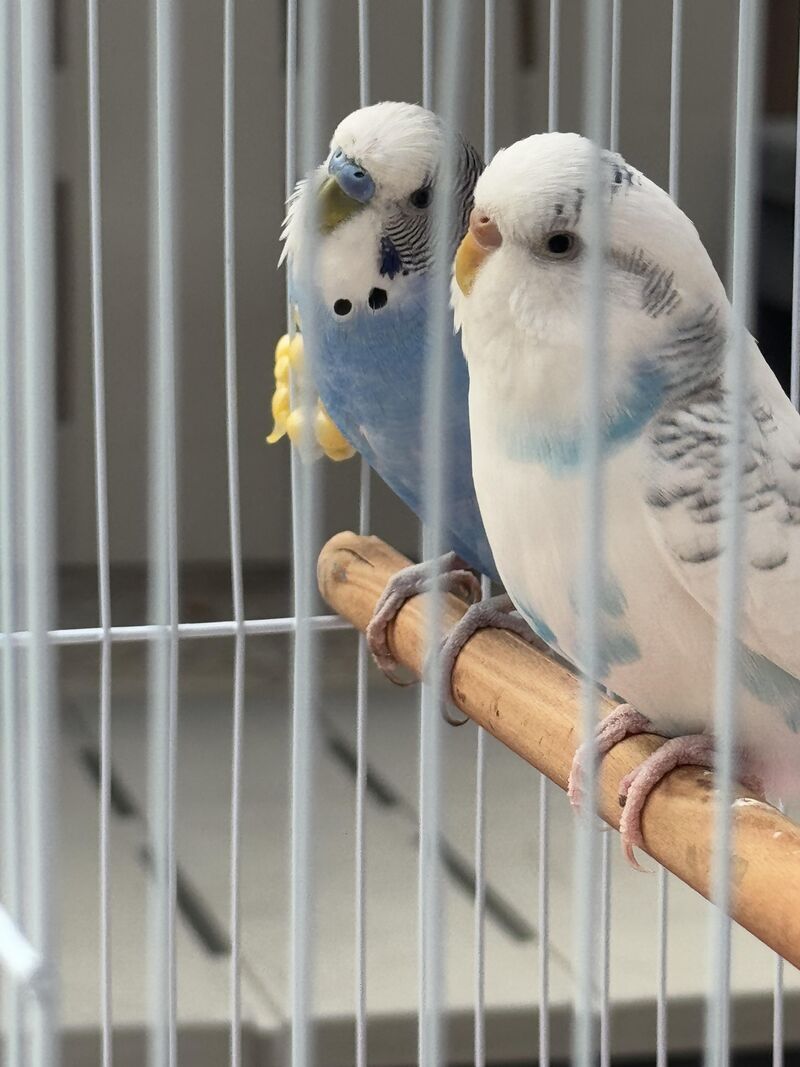 My Sky and Lulu 🥹🤍🤍