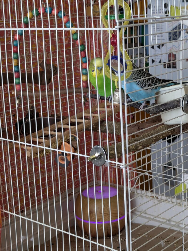 After all the expense!