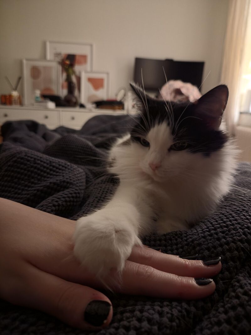 Luna loves holding hands