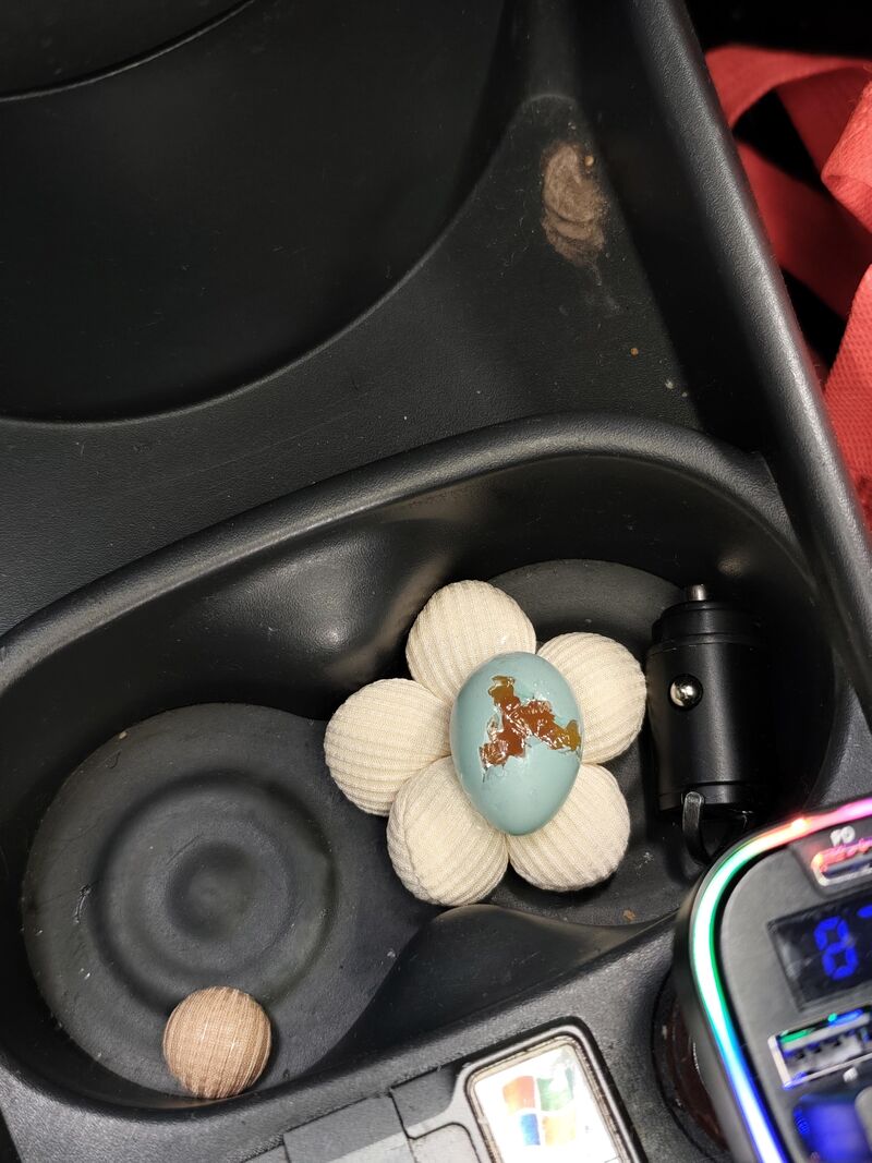 How to hatch this egg? It s probably from pigeon.