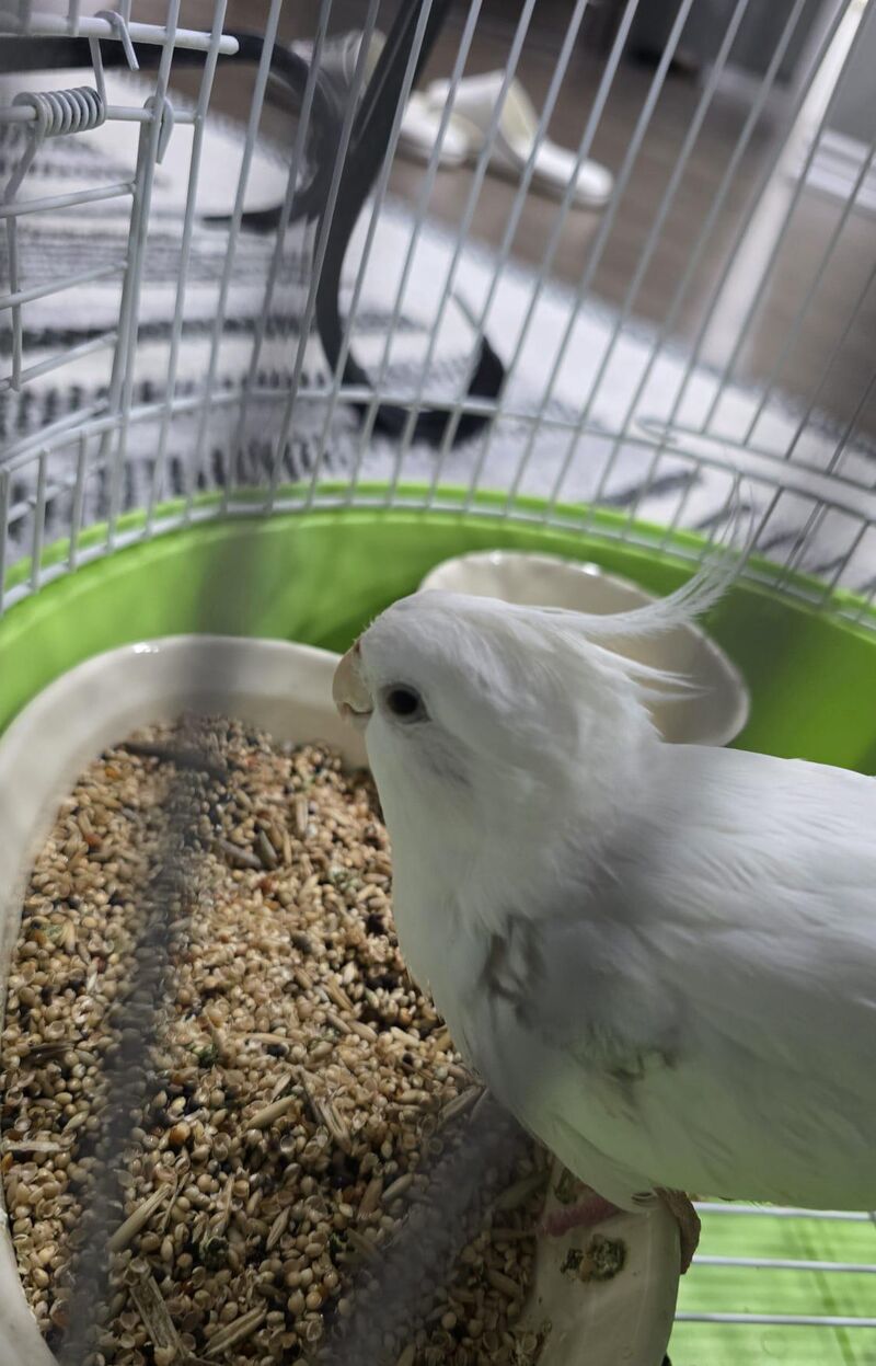 WE FOUND HIM! thank you so much for all the help!!!