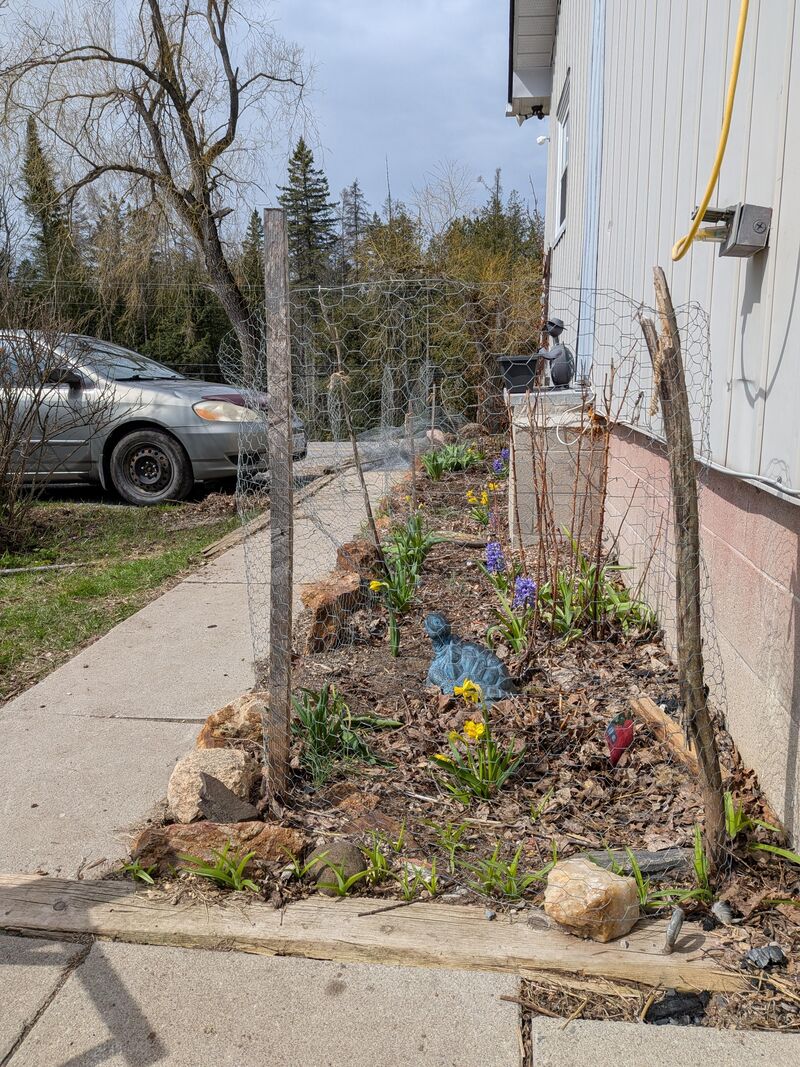 Garden fence that looks pretty but keeps chickens out?;
