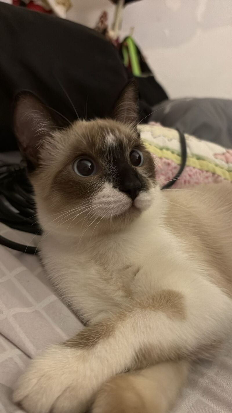 Totally obsessed with my friend's cute new baby!