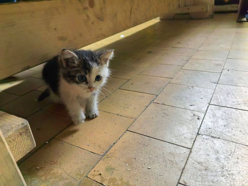 A new employee in our production