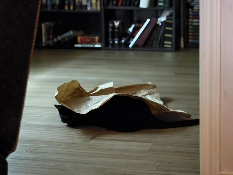 Nobody can see him 🤣