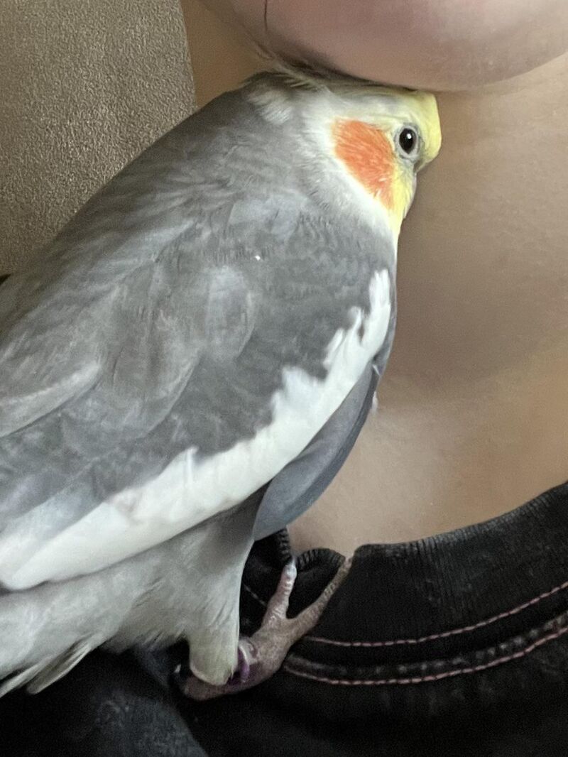 When he so cute you don’t know if he’s plotting murder.