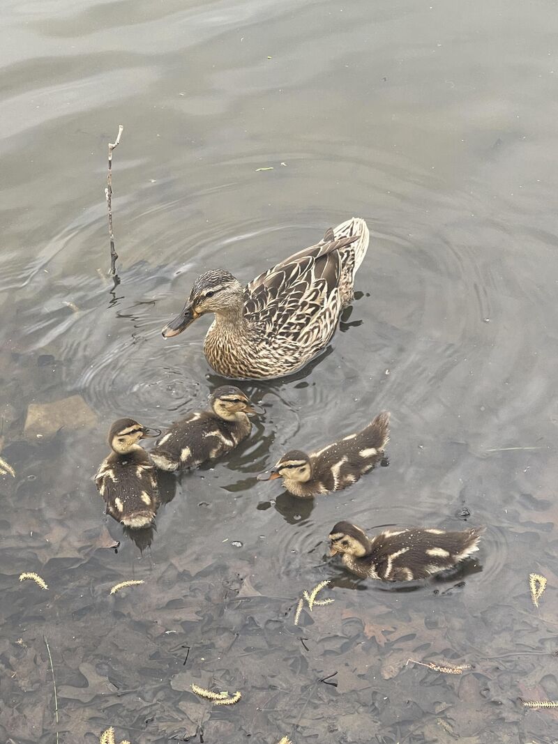 Happy I left my house