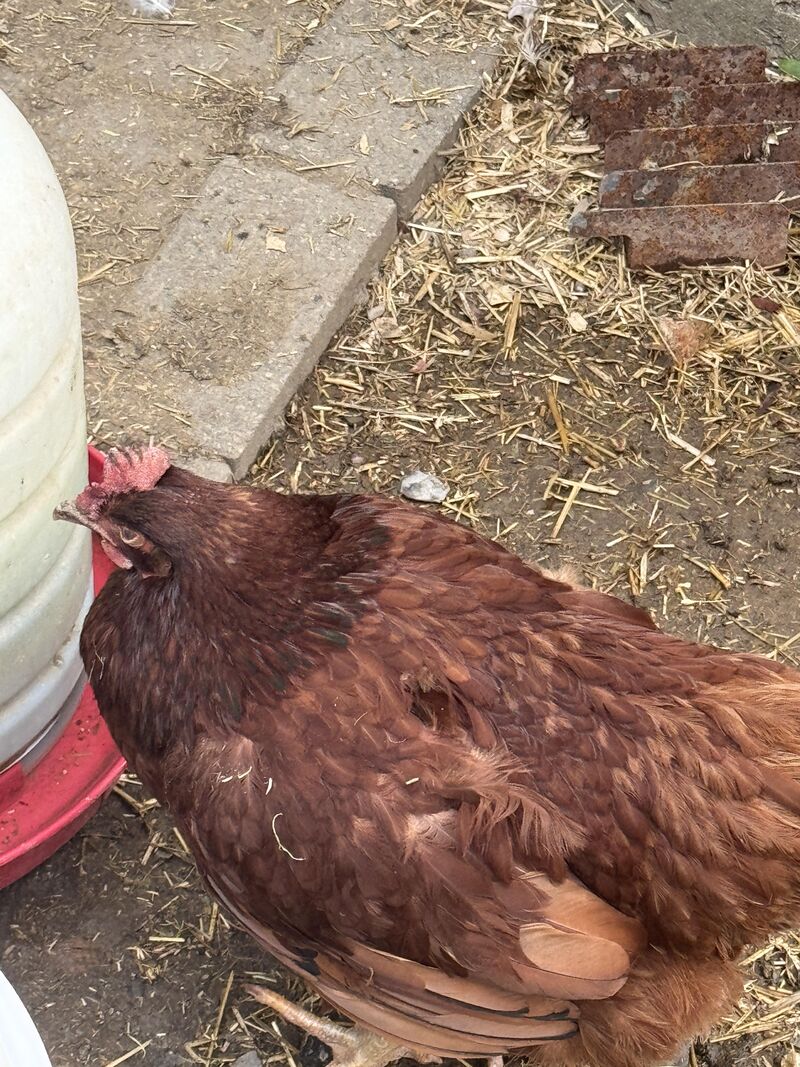 Idea what’s going on?