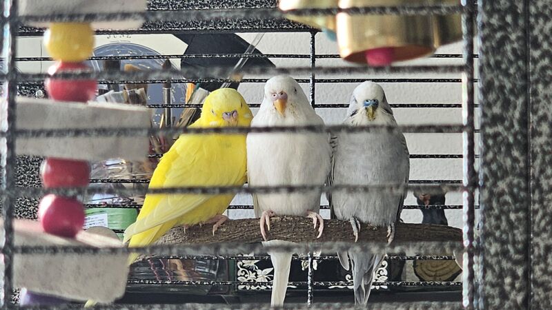 huge unexpected milestone this morning 🥰