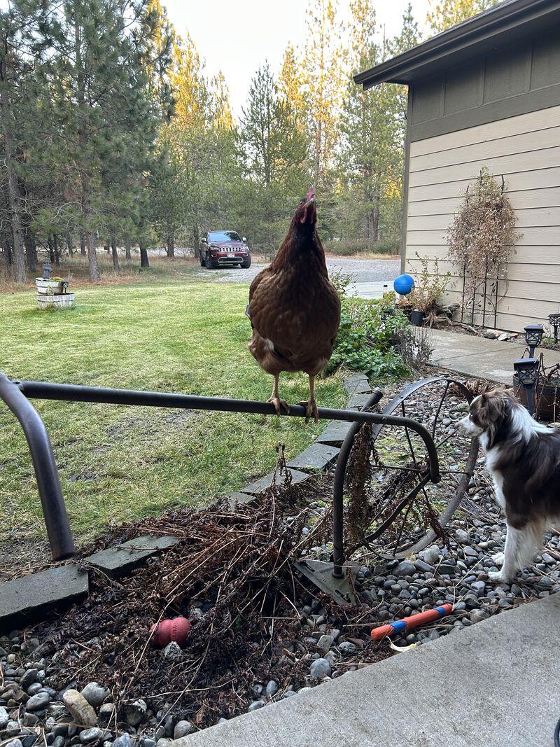 She has an announcement!