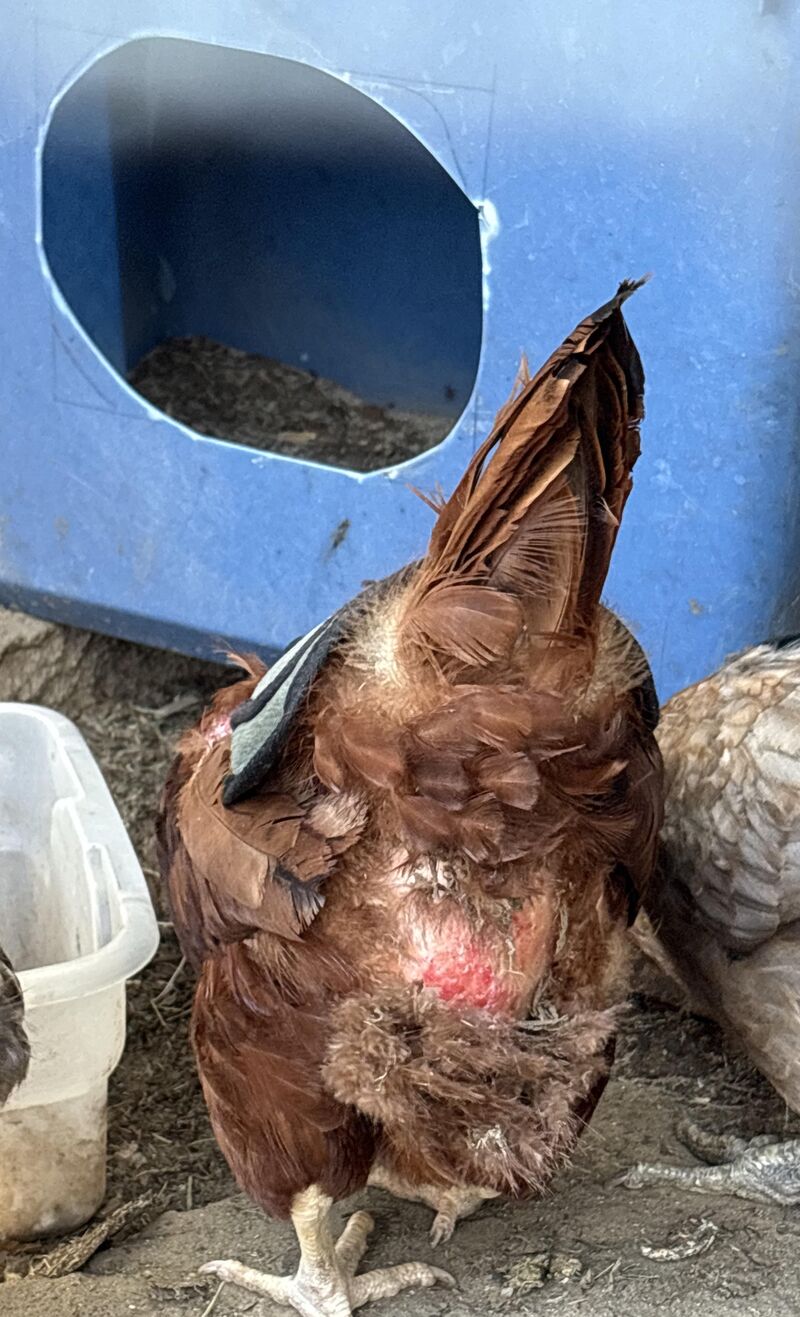 What can be causing this?