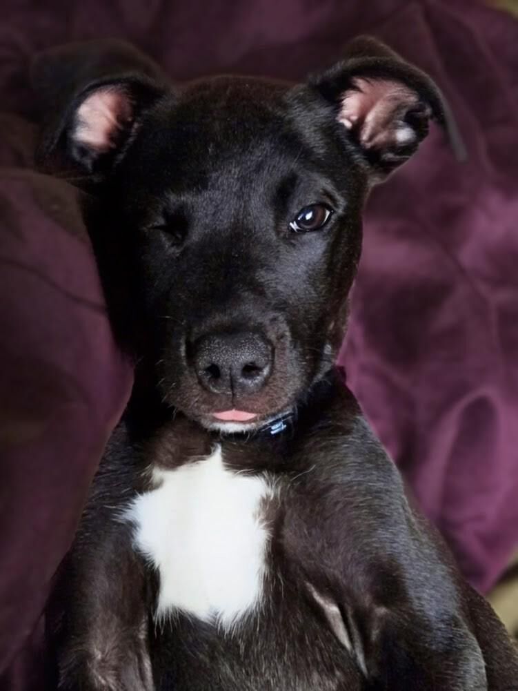 Look at my baby girl!! A wink and sticking out her tongue lol