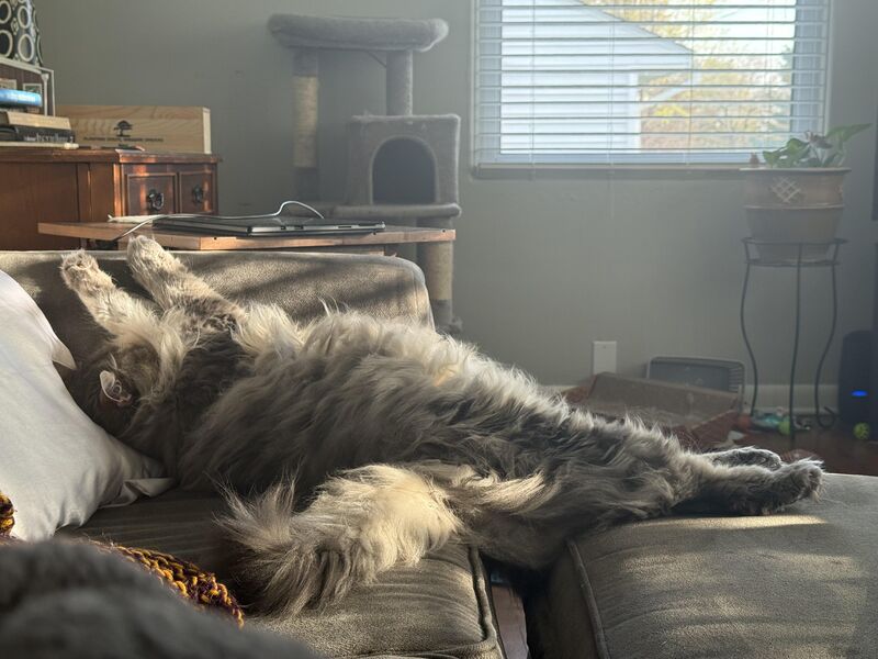 Loretta is living her best life