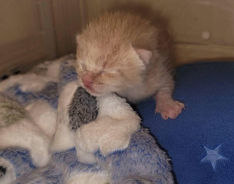 Twisters new friend!