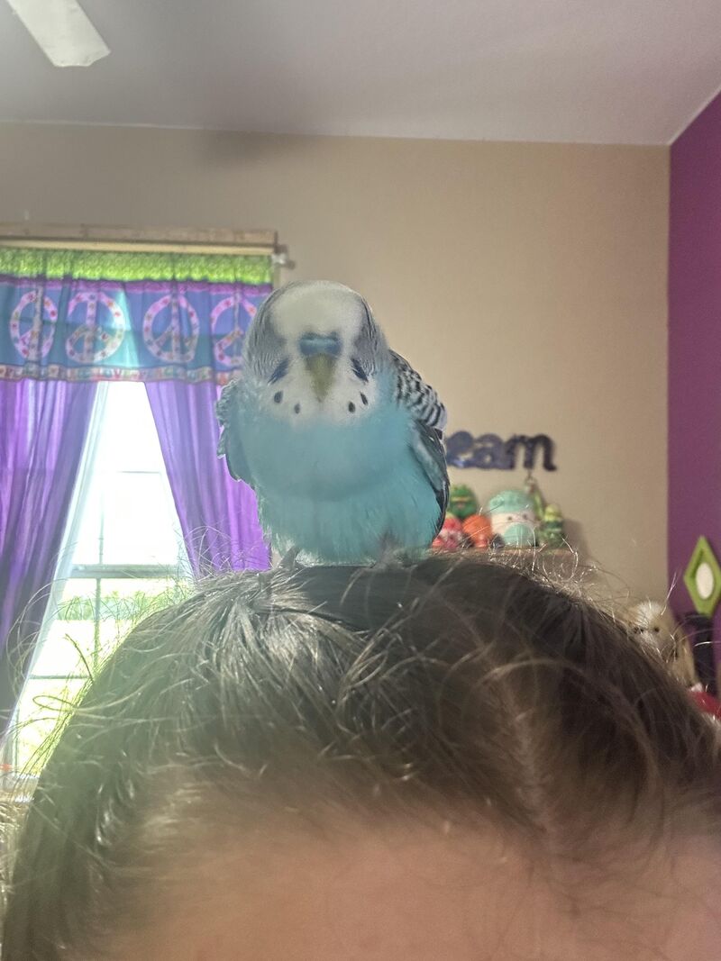 I can’t believe it’s been a month without my baby