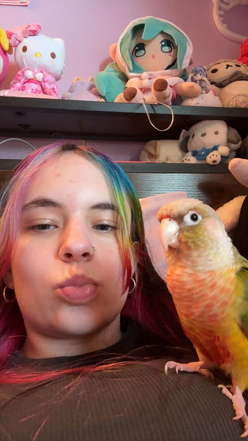 People say that their pets look like their owner. can that be true with birds