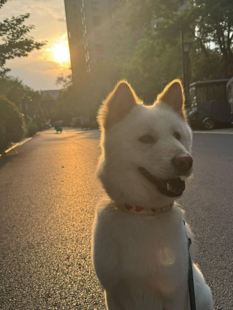 My puppy in the sun!
