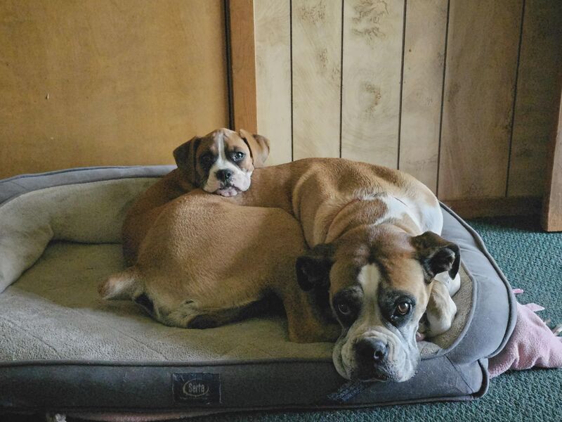 Personal space is a myth in this household.