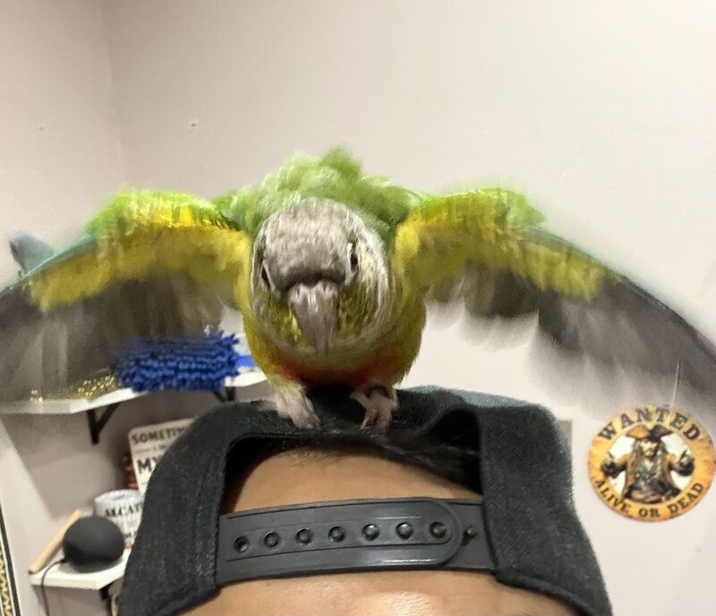 I'm coming for ya!! (danger danger)