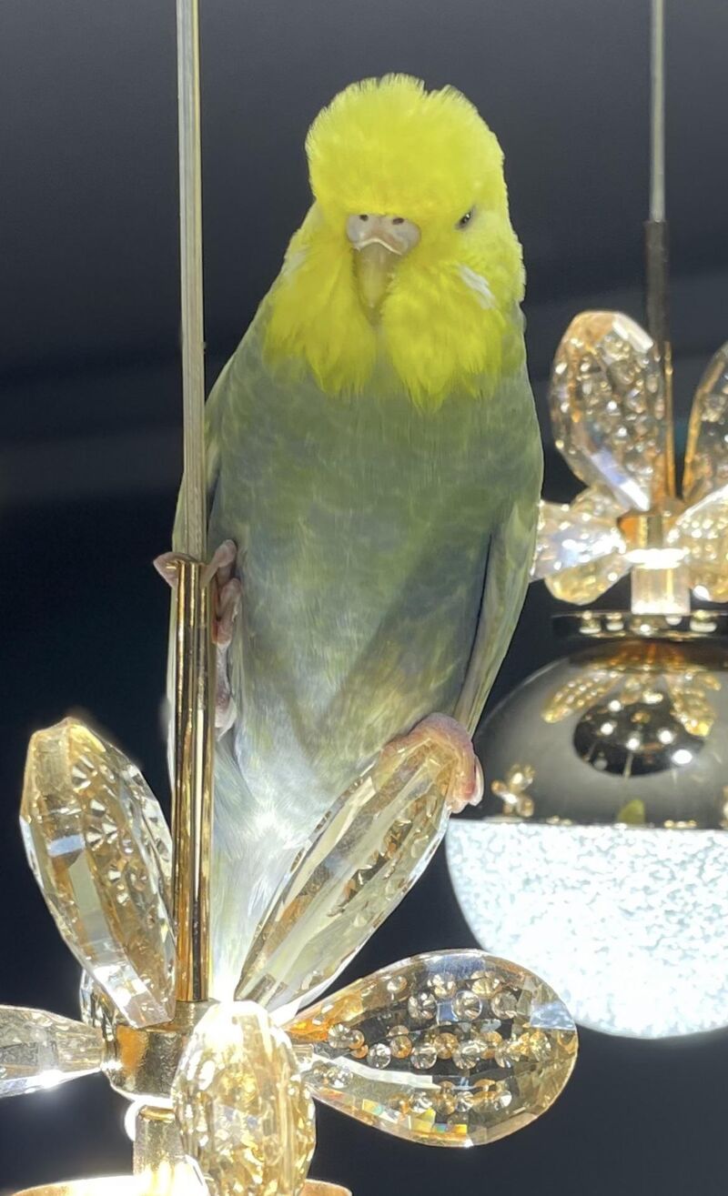 Ominous… I think I’m in danger…