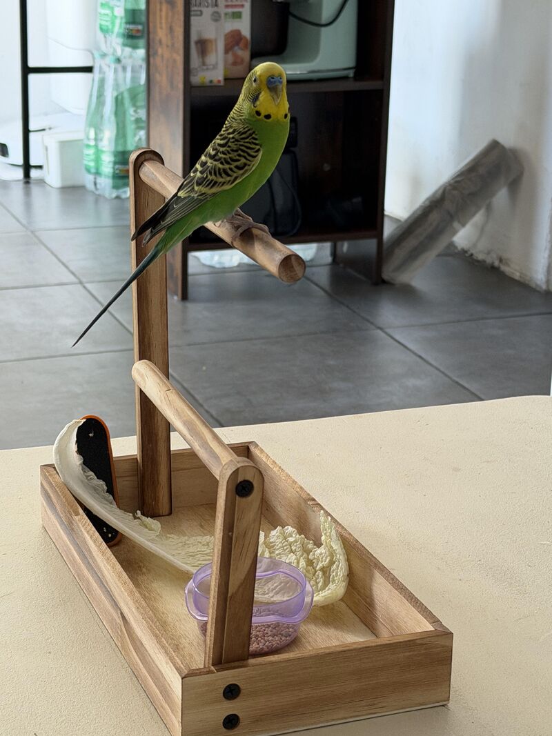 Every time I took a picture of him he noticed 😂