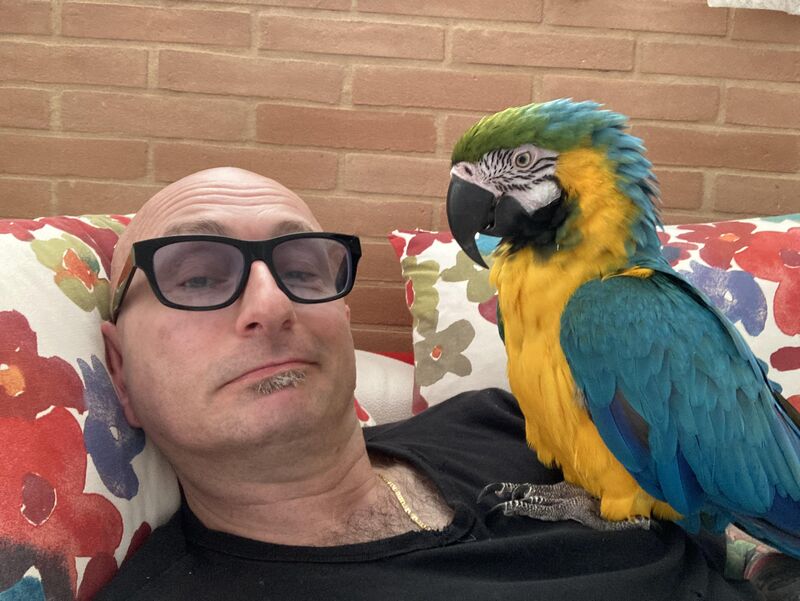 Morning routine… except I don’t make the rules here🦜