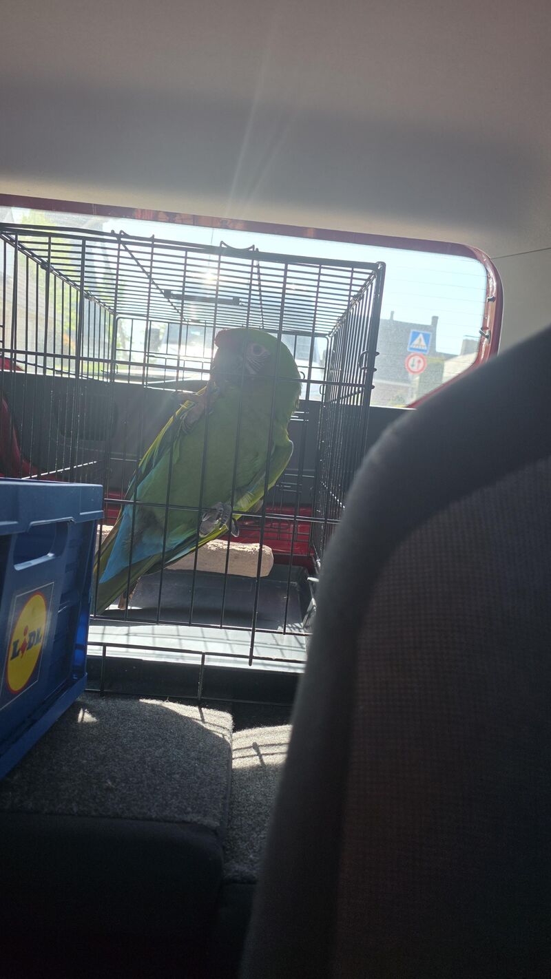 Going out with my big friend.