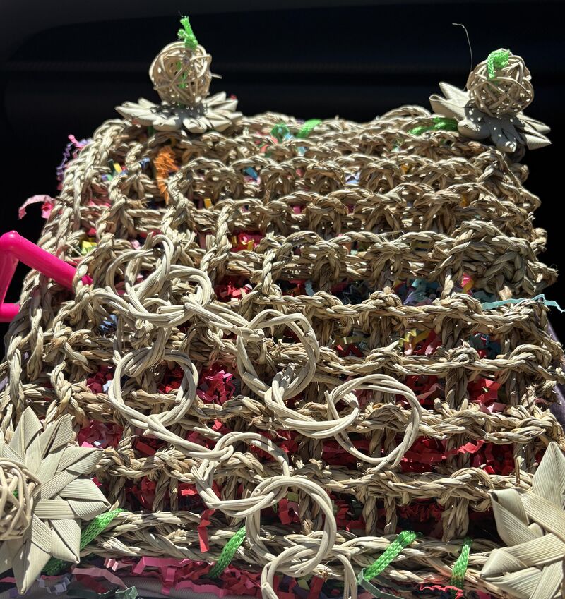 Should I monitor the bird with this toy?